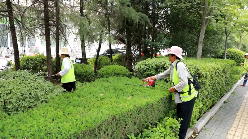 北京嘉禾林物业管理：住宅、写字楼与商业物业的服务逻辑与实践